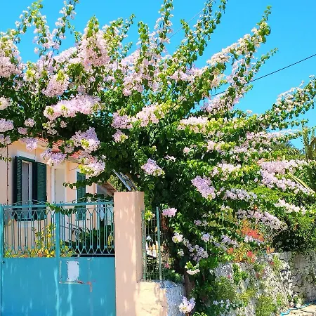 Sweet Of Kefalonia بيت للعطل *